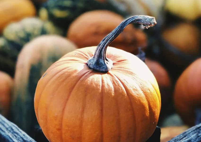 Fall Cleanup: Prep Your Home for Winter with Essential Maintenance and Solar Lights